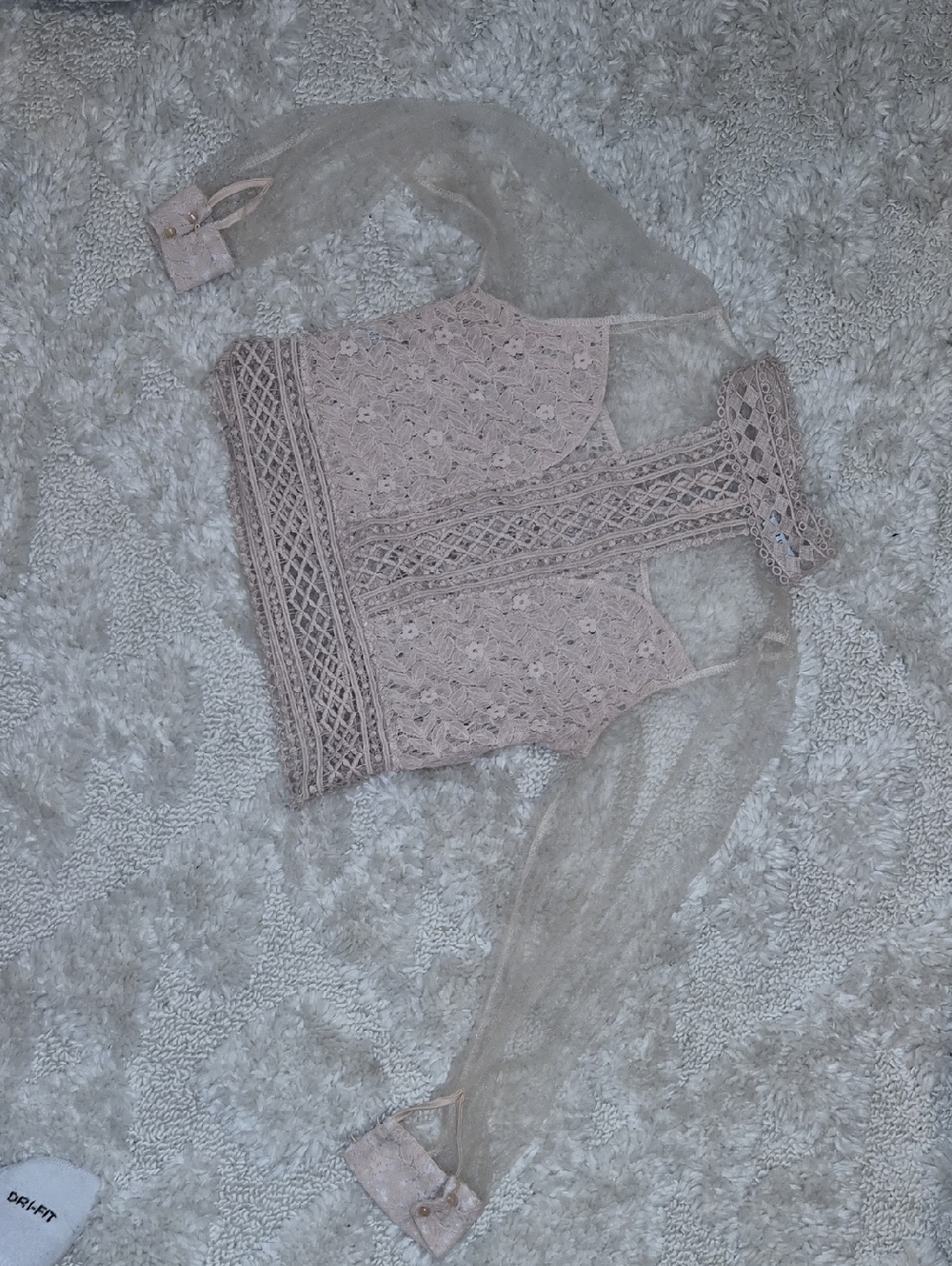 Sheer Lace Long-Sleeve Blouse in Dusty Pink